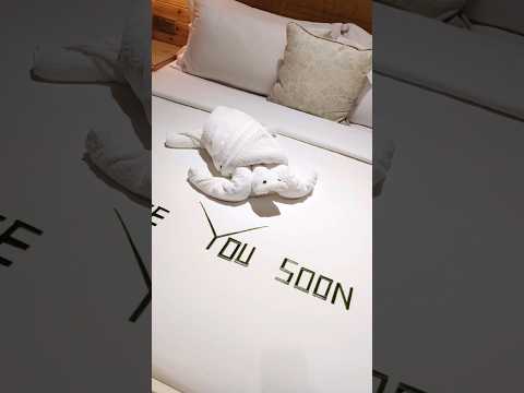 turtle towel art || AR LOVE #shots #shortsfeed #arlove106 #homedecor