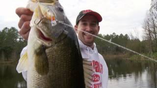 Rapala Scatter Rap Shad 07 PEL