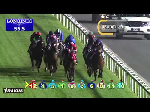 20.02.2014 Meydan (Dubai-UAE) 6.Race Dubai Millennium Stakes 2014 - List 2.000 m