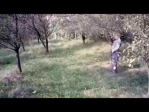 La Trăistaru - Coteni, Buhoci (partea 2)