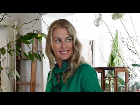 What's the Occasion?