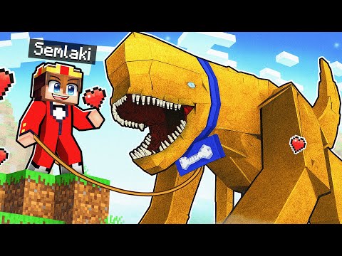 Kann man DISTORTUS REX als Haustier halten?