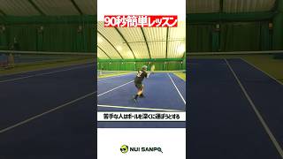 【忙しい人向けテニスレッスン】絶対にやってはいけないハーフボレー講座〈ぬいさんぽテニス（Tennis）〉 #テニス #テニスレッスン #tennis