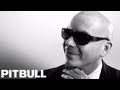 Pitbull - Watagatapitusberry ft. Sensato, Black Point, Lil Jon [Official Video]