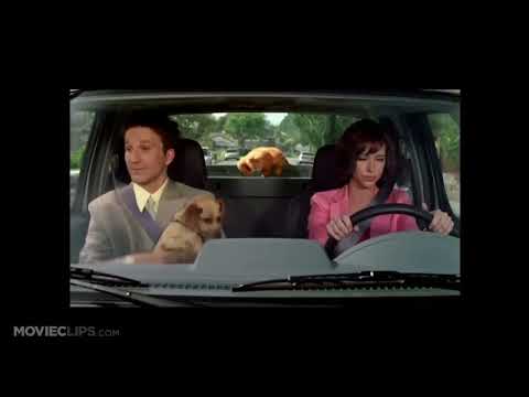 2004 Garfield trailer still with CGI Garfield and live-action cast, teasing family-friendly soundtrack