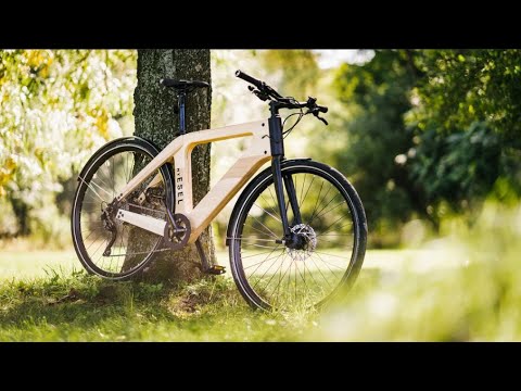 auto touring (ÖAMTC) Testbericht - My Esel E-Tour Diamant 2019