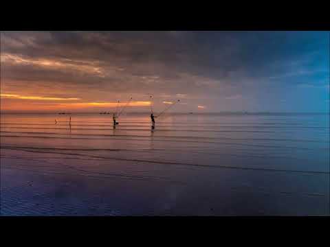 Delusions | Set | Progressive House | 51#