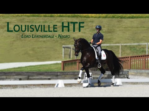 Louisville HTF (Lord Leatherdale-Negro) - 2017 Hanoverian Stallion