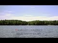 Thoreau at 200: Reflections on "Walden"