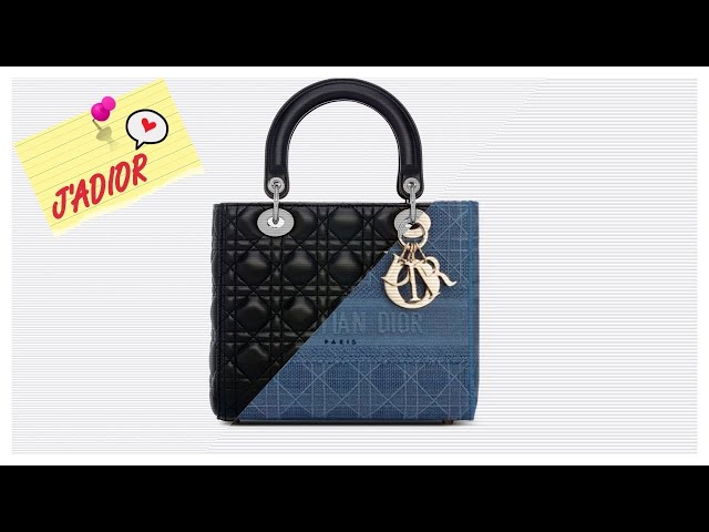 Vídeo relacionado con DGAZ Organizador de monedero de seda para bolsas Lady-Dior Micro/Mini/S/M/L, organizador de bolsas suave y sedoso, bolso de lujo y moldeador de bolsas (negro, S)