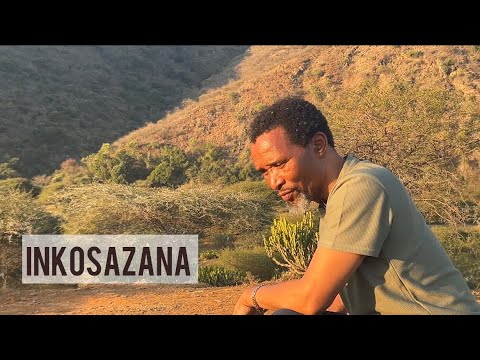 Ayanda Msweli Foundation | Inkosazana