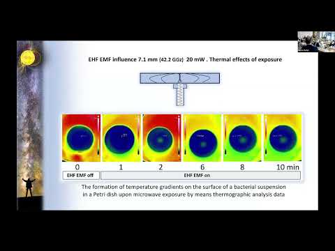PLENARY SESSION. MARTINYUK Viktor. Part 2 ukr