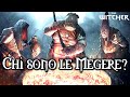 The Witcher Lore ITA Chi Sono Le Megere Witcher Storia ITA