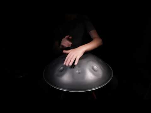 SEW handpan D Celtic Professional