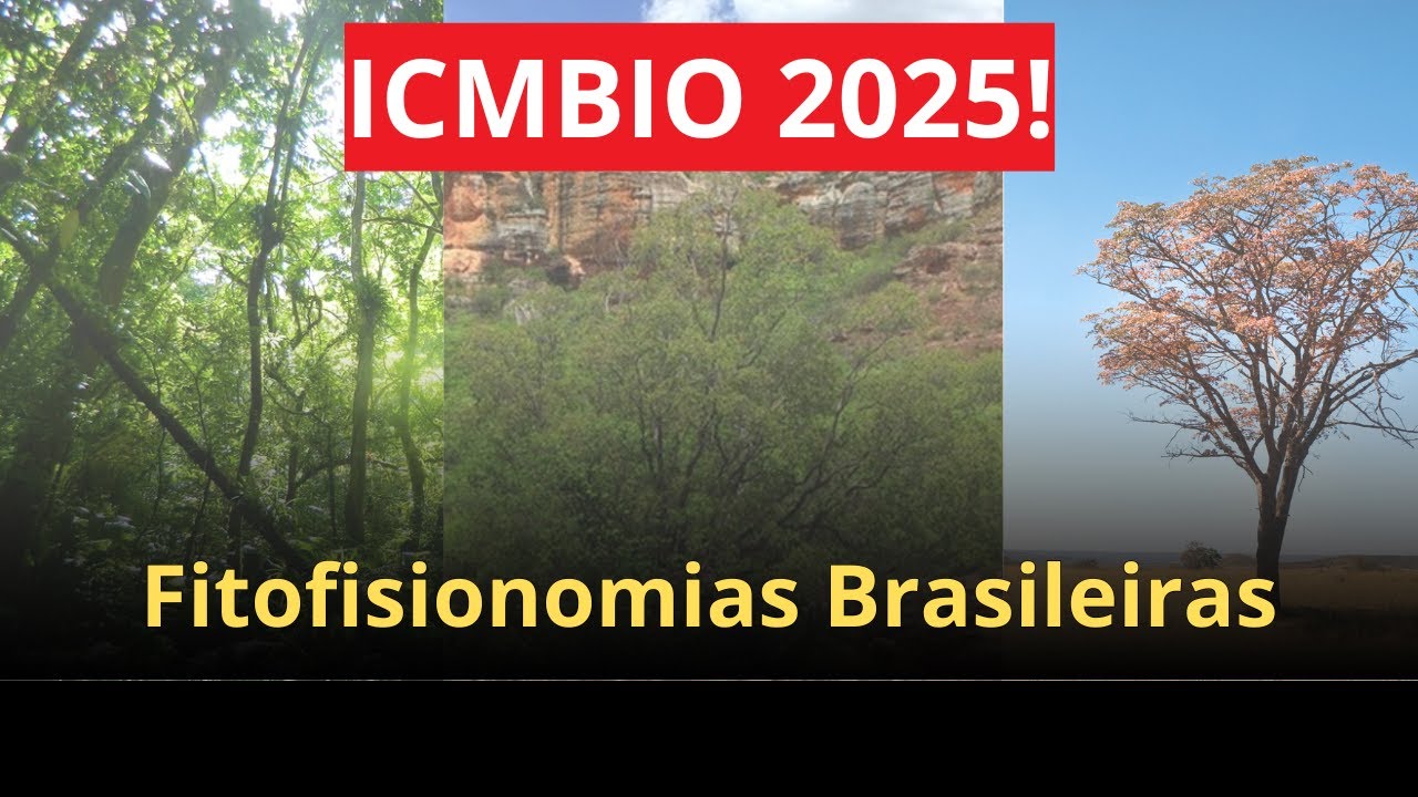 ICMBIO 2025 - Fitofisionomias Brasileiras
