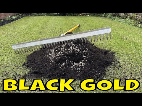 EASY Lawn Revitalization In Time Lapse That Anyone Can Do.