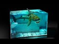 How To Make a Shark In The Bathroom Diorama / Polymer Clay / Epoxy resin
