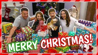 WHAT DID WE GET FOR CHRISTMAS? | GIFT REVEAL | We Are The Davises