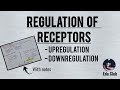 Regulation Of Receptors | Upregulation And Downregulation || Endocrine Physiology
