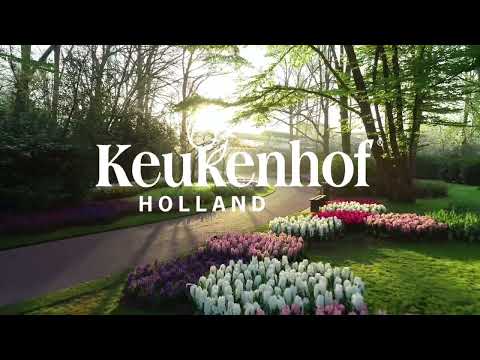 Keukenhof is ready to open!🌷 | Keukenhof 2022