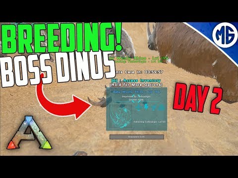 BUILDING THE BASE, BREEDING BOSS DINOS AND OUR FIRST GIGA! 4 Man PvP Servers - Ark: Survival Evolved