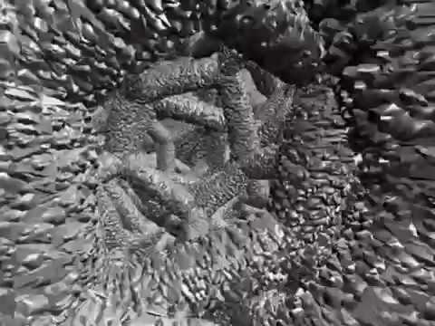 The Zimmer Trabecular Metal Dental Implant