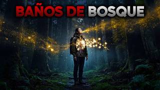Esto le Hace a TU CUERPO Caminar por el Bosque | Sorprendente Descubrimiento