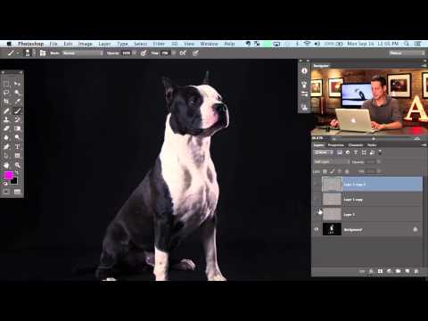 How to Set Up and Use a Wacom Tablet