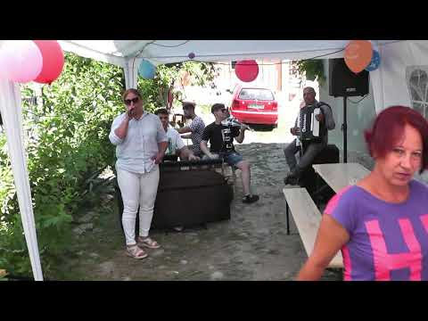 Prezentare curte la Cosmina de jos