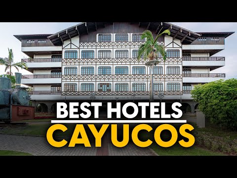 Best Hotels In Cayucos, Usa - Top 5 Picks For Any Budget