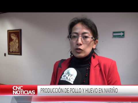 , title : 'CNC Noticias Pasto - Producción de pollo y huevo en Nariño'