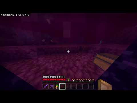 VERSO LA MAGIONE  LIVE SU MINECRAFT #38