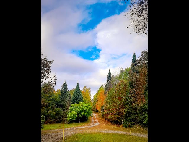 Cottage for Christmas – 30 Minutes from Ottawа in Long Term Rentals in Gatineau