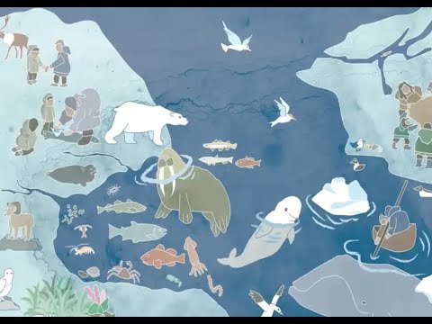 Different Ways of Knowing: Successful Examples of Co-production of Knowledge in Arctic Research