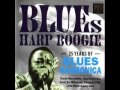 Carey Bell and Muddy Waters - Trouble No More ...