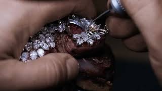 Harry Winston Shimmering in Motion - Talk to Me, Collection