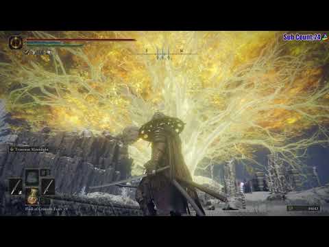 Quality Test Elden Ring Max Settings (High Ray Tracing) 1440p 60fps