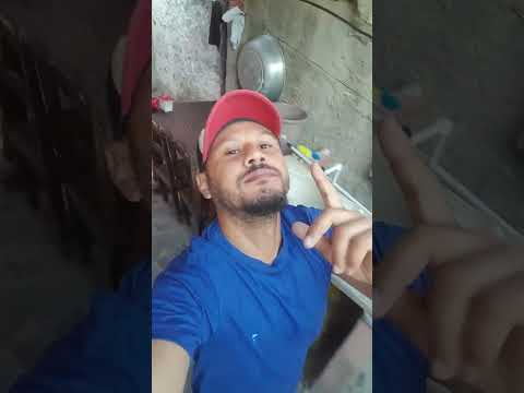 Quinta feira assim jaguarari Bahia Brasil dezembro flamengo campeão parabéns 04 2025