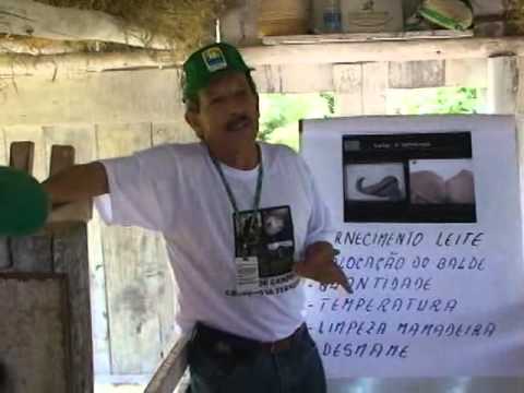 Programa Oeste Rural dia 22 09 2013