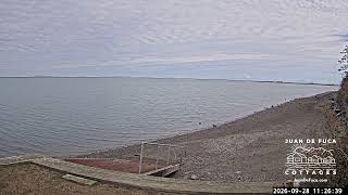 🌊 LIVE EAST Dungeness Bay Webcam from Juan de Fuca Cottages | Sequim WA Coastal Views 🦅🐟 live webcam