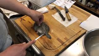 やり方が判らないまま「カワハギ」を捌く