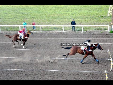 HUMAHUACA RYON RDA - 4ta Clasific. Potrillos - CURUZU CUATIA - 26.07.15