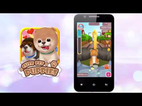 Cute Pet Puppies Video