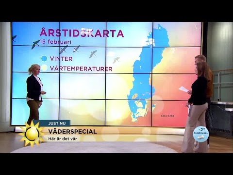 Här är det vår i landet! - Nyhetsmorgon (TV4)