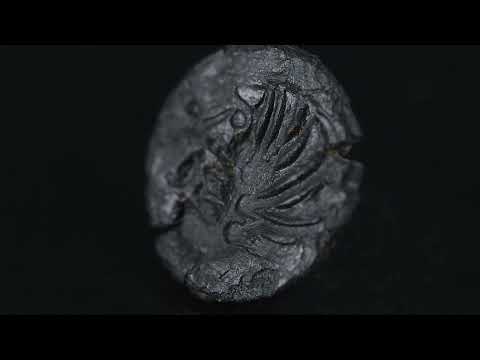 Coin, Senones, Bronze, AU(50-53), Bronze