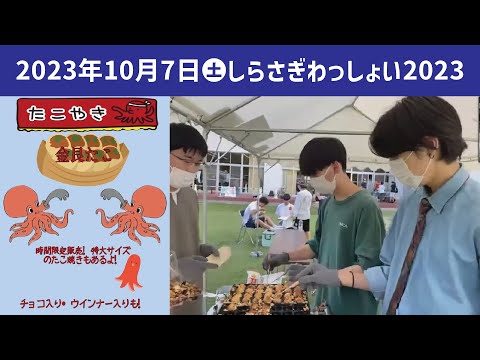 こども学科 金艮（キンコン）タコ【学園祭】しらさぎ祭　紹介　ゲスト　しらさぎわっしょい2023