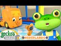 Regenboogverstoppertje Gecko S Garage Nederlands Vrachtwagen Cartoons Voor Kinderen