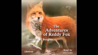 The Adventures of Reddy Fox audiobook