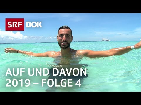 Schweizer Auswanderer | Schweden, Mexiko, Südafrika | Auf und davon 2019 (4/6) | Doku | SRF Dok