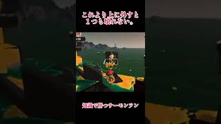知識で勝つサーモンラン　カタパエクスワンパンの位置
